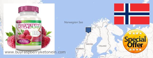 Dove acquistare Raspberry Ketone in linea Norway